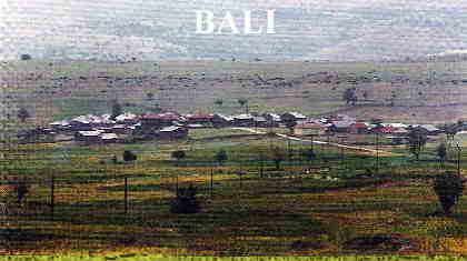 Balı
