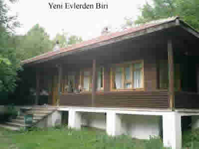 Yeni evlerden biri